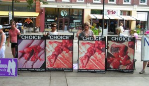 choice signs