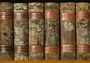 tumblr_static_10004767-xylotheca-collection-of-wooden-old-books-at-the-shelf-in-library