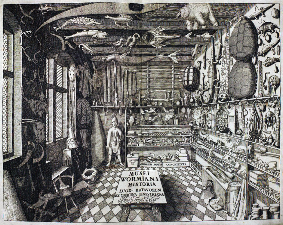 Musei Wormiani Historia, the frontispiece from the Museum Wormianum depicting Ole Worm's cabinet of curiosities.  Image via Wikimedia Commons.