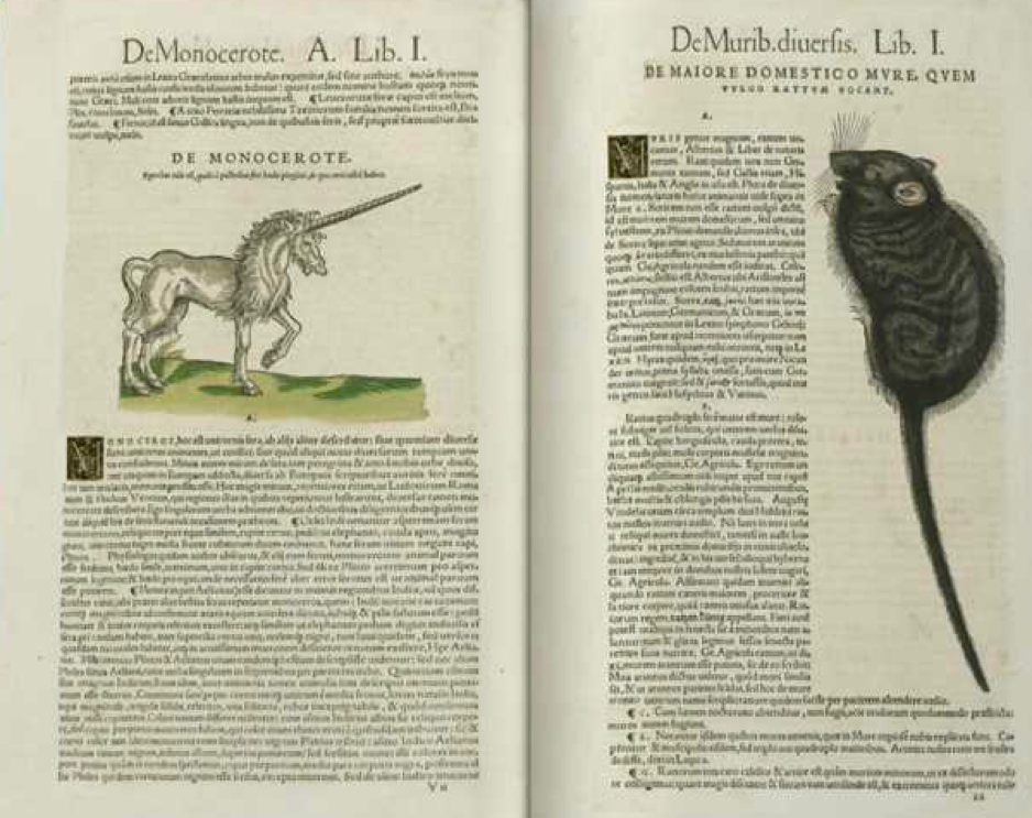 The Historiae and its beautiful illustrations can be browsed here 