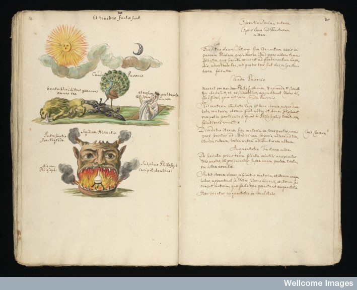 Symbolical alchemical drawing and text Credit: Wellcome Library, London. 