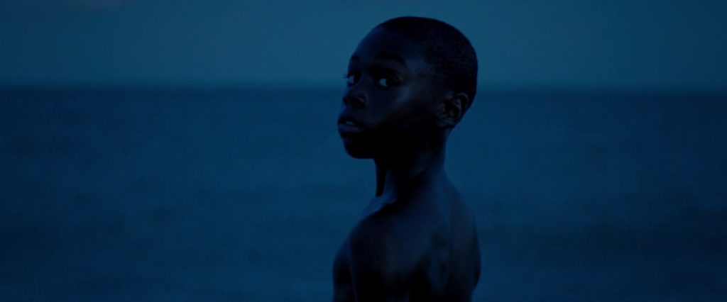 “Who Is You?”: The Posthumanism of <em>Moonlight</em>