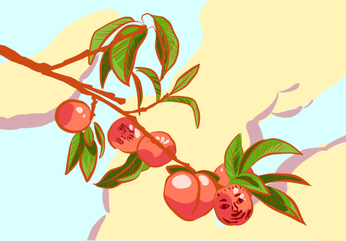 Fallen Fruit illustration by Ruby Lavin