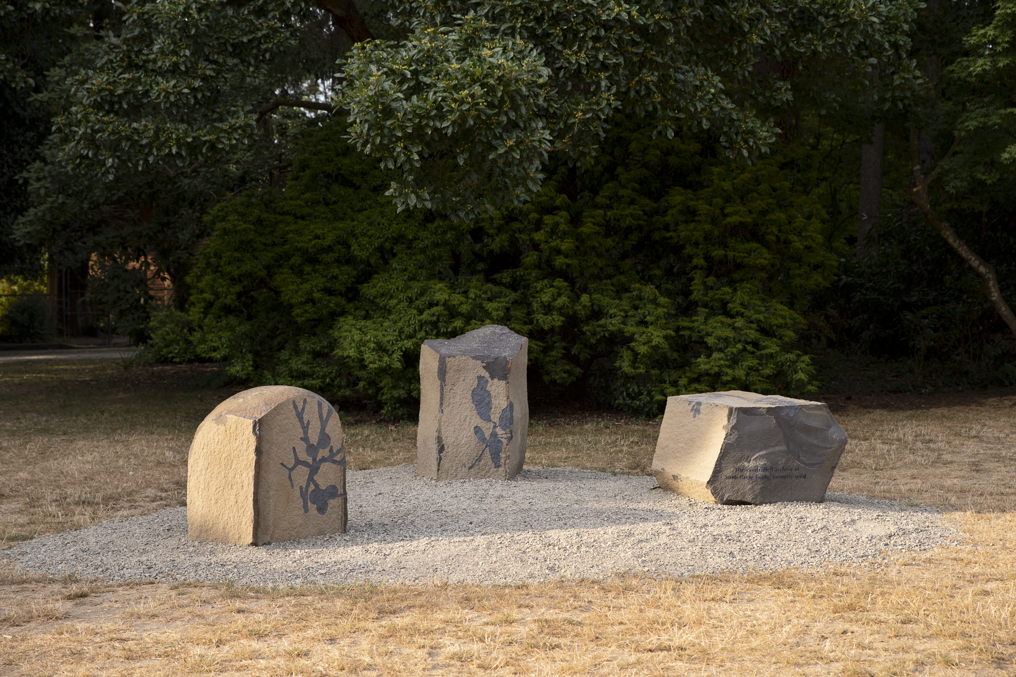 Three boulders in a gravel circle in front of green trees. The boulders are etched with plant outlines and some illegible text.