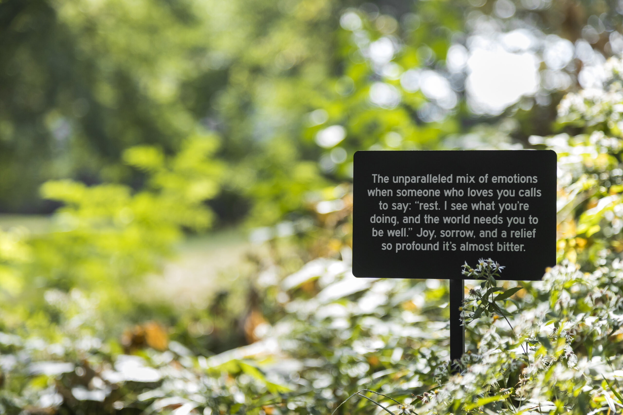 A small horticultural sign set in leaves that reads "The unparalleled mix of emotions when someone who loves you calls to say: 'rest. I see what you're doing, and the world needs you to be well.' Joy, sorrow, and a relief so profound it's almost bitter."
