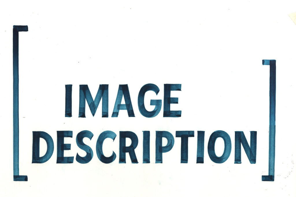 On Descriptive Ends / No Descriptive End